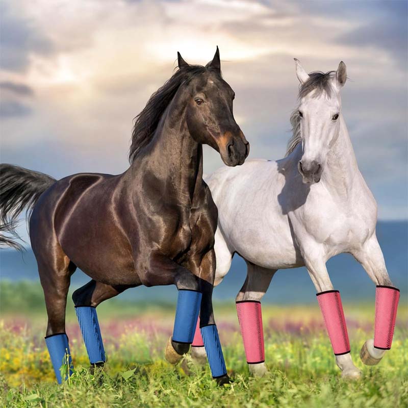 Breathable Mesh Horse Flyproof Leggings 🐎✨